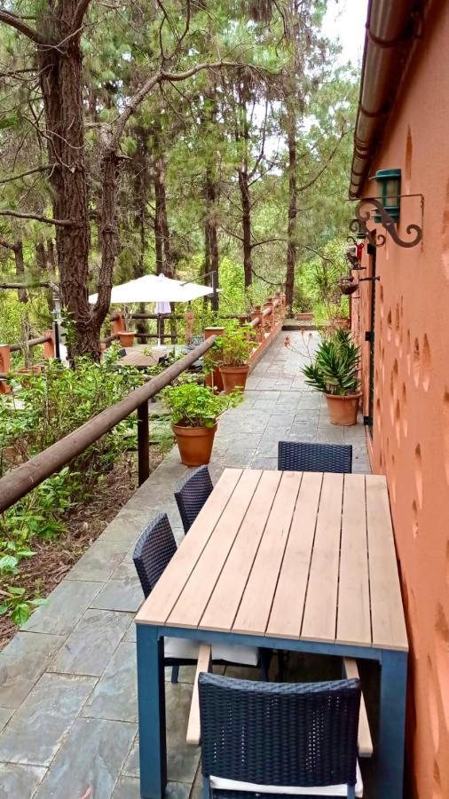 Casa Rural En Medio Del Bosque, El Lance Firgas Zewnętrze zdjęcie