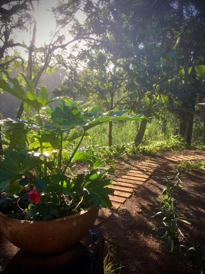Casa Rural En Medio Del Bosque, El Lance Firgas Zewnętrze zdjęcie