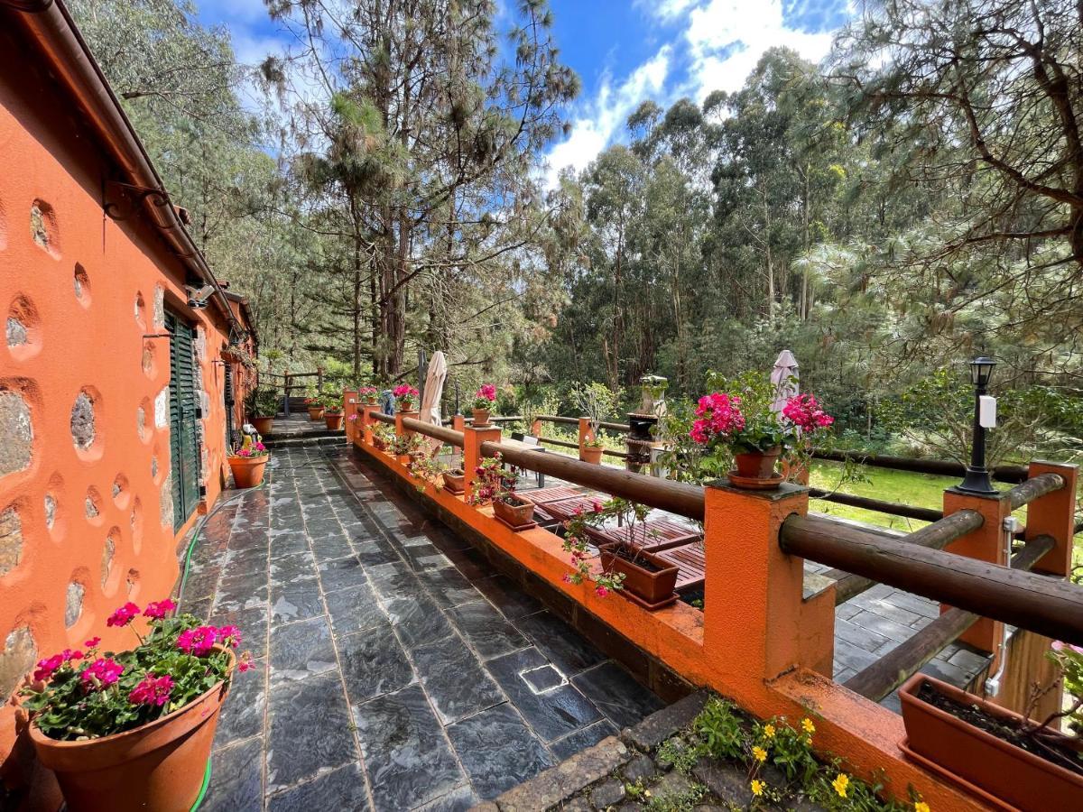 Casa Rural En Medio Del Bosque, El Lance Firgas Zewnętrze zdjęcie