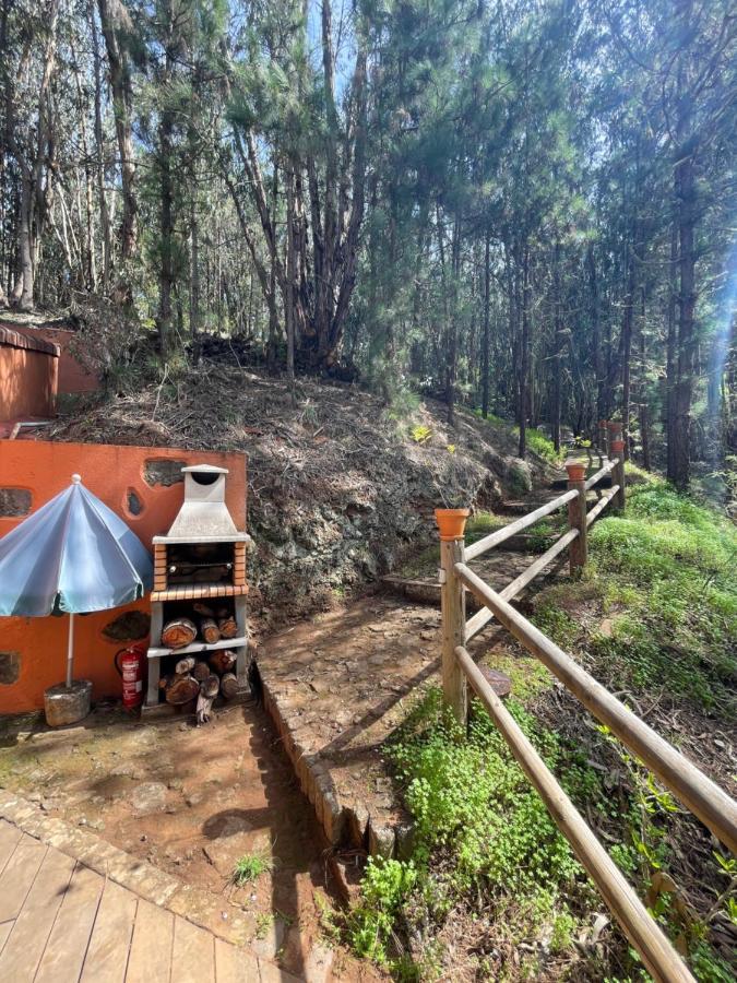 Casa Rural En Medio Del Bosque, El Lance Firgas Zewnętrze zdjęcie