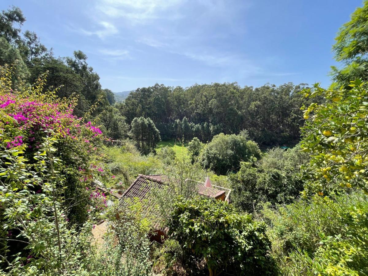 Casa Rural En Medio Del Bosque, El Lance Firgas Zewnętrze zdjęcie