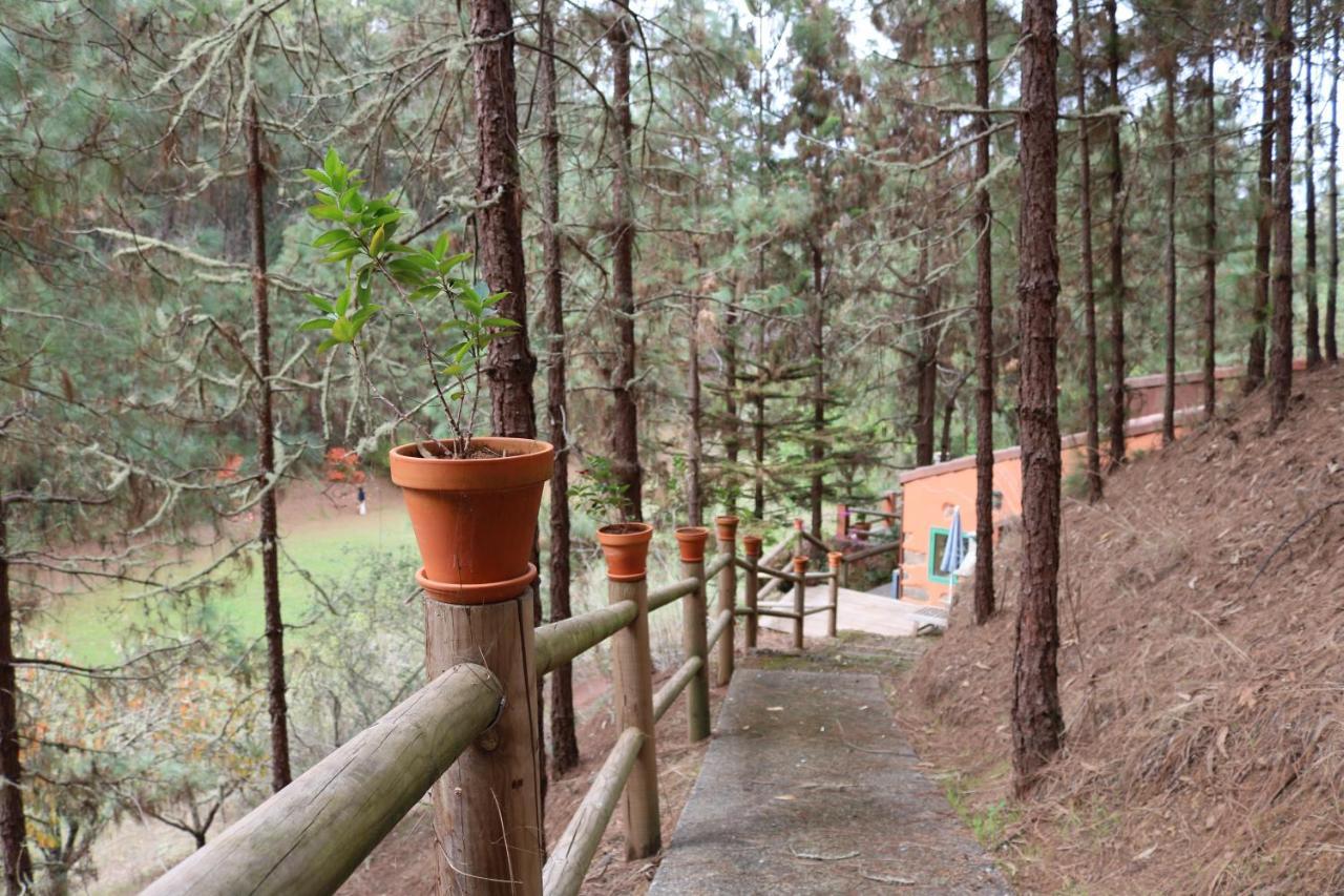 Casa Rural En Medio Del Bosque, El Lance Firgas Zewnętrze zdjęcie