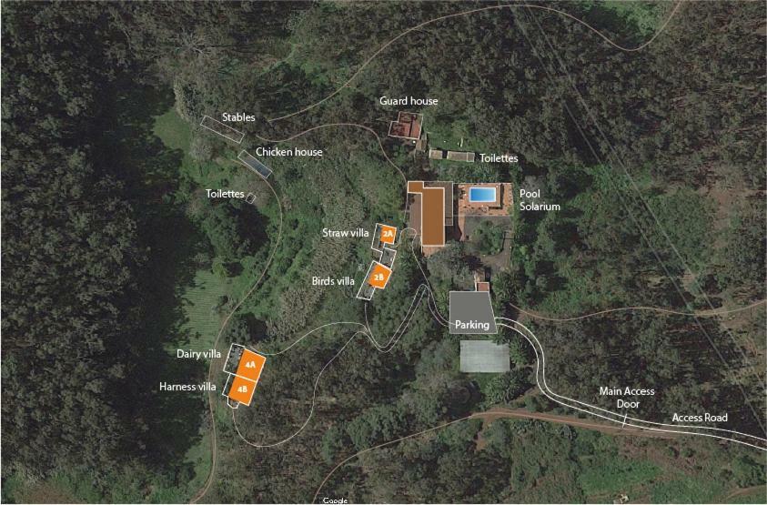Casa Rural En Medio Del Bosque, El Lance Firgas Zewnętrze zdjęcie