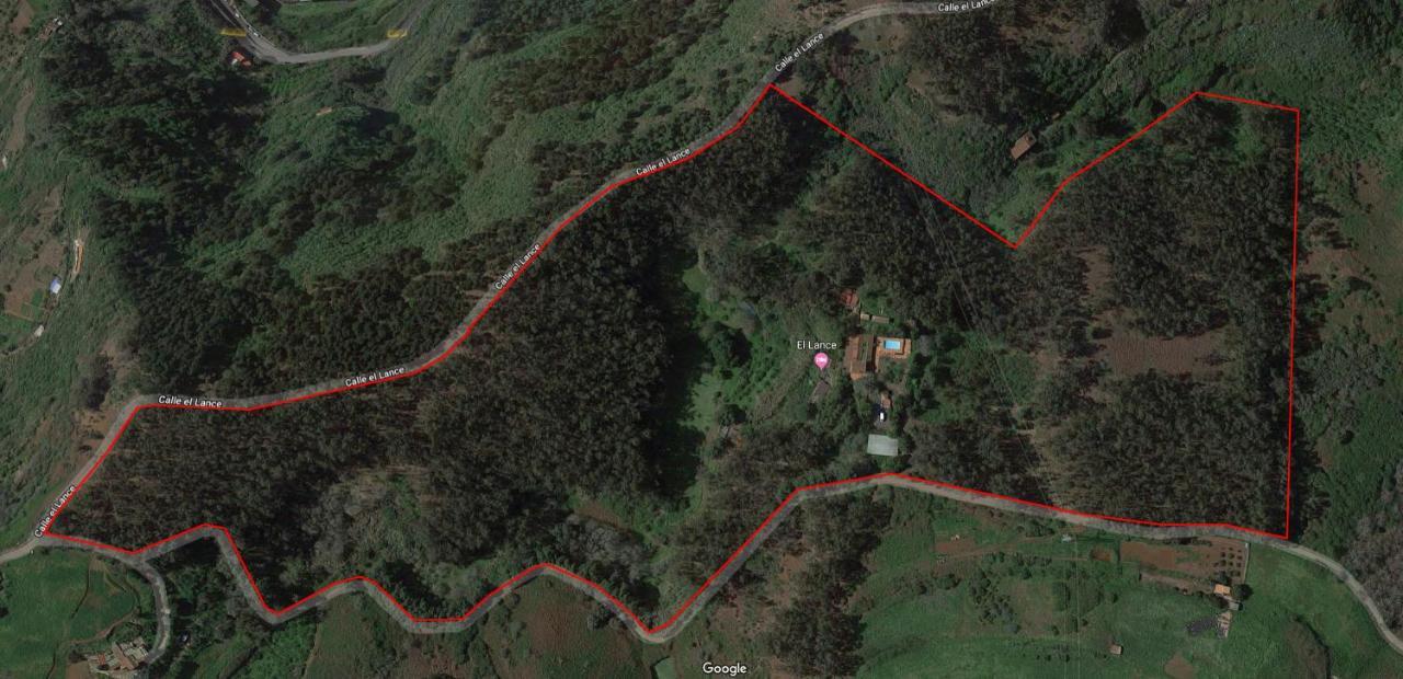 Casa Rural En Medio Del Bosque, El Lance Firgas Zewnętrze zdjęcie